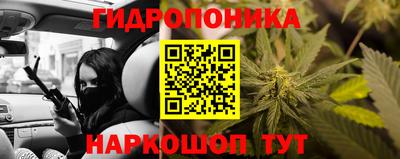 марихуана Краснознаменск