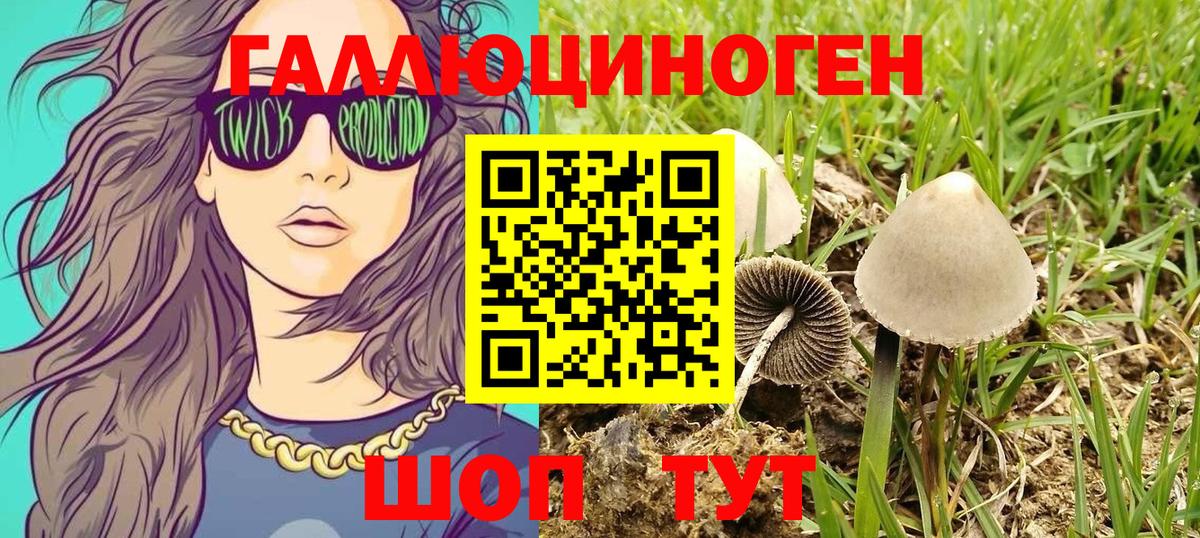 Псилоцибиновые грибы Cubensis  как найти закладки  Электрогорск  Вход с VPN 